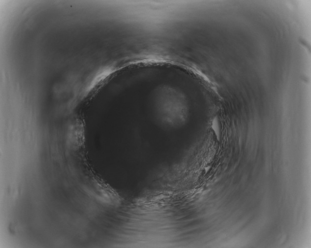 X0000099441255200805090740