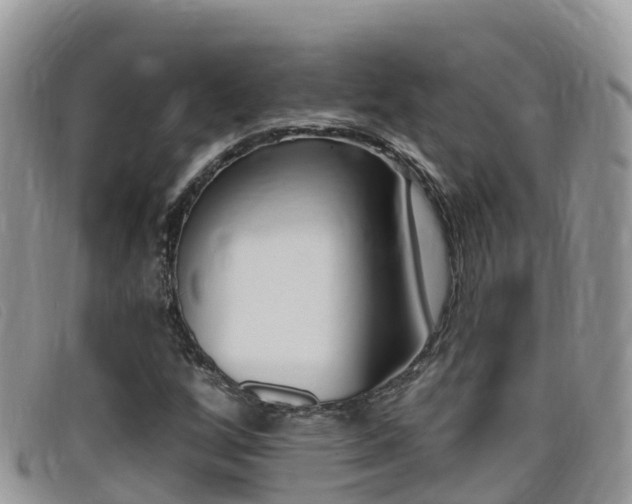 X0000099441256200805090740