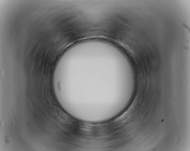 X0000099441257200805090740