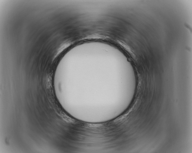 X0000099441258200805090740