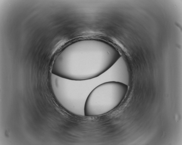 X0000099441259200805090740