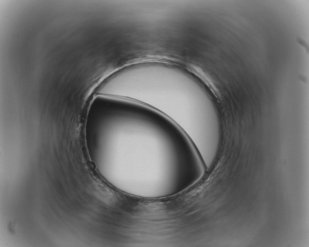 X0000099441260200805090740