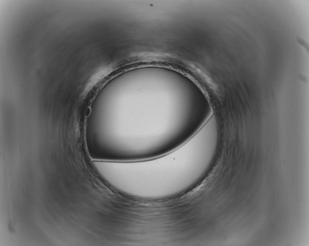 X0000099441261200805090740