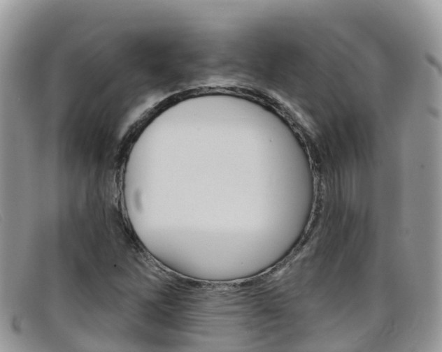 X0000099441262200805090740