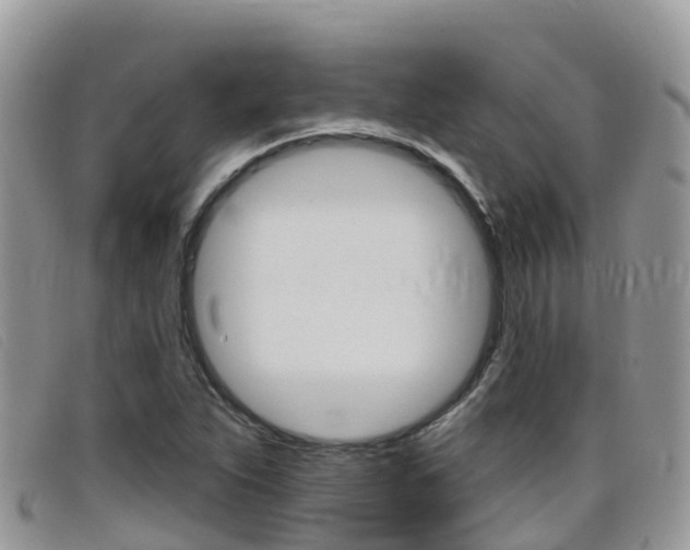 X0000099441263200805090740