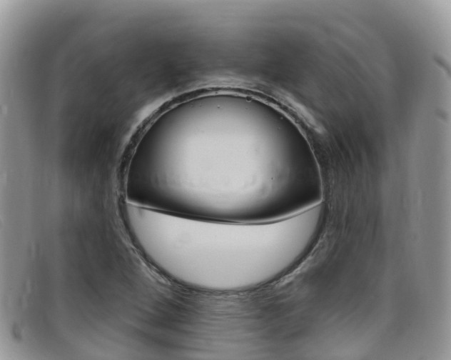 X0000099441264200805090740