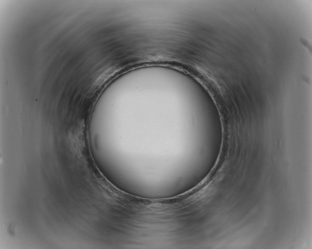 X0000099441265200805090740
