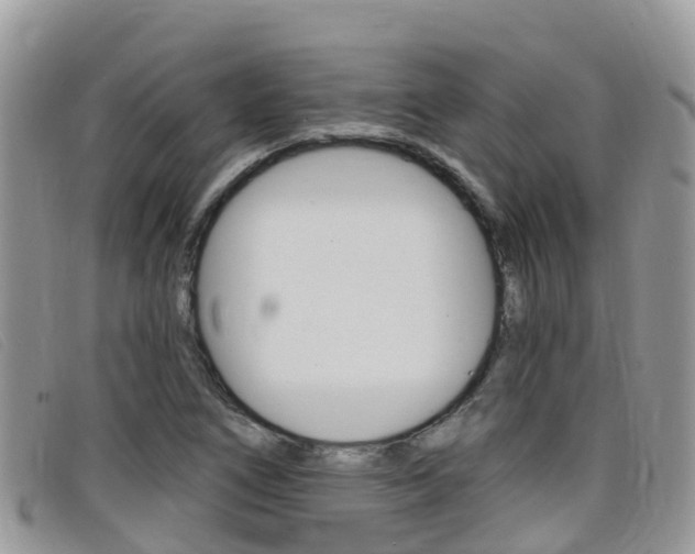 X0000099441266200805090740