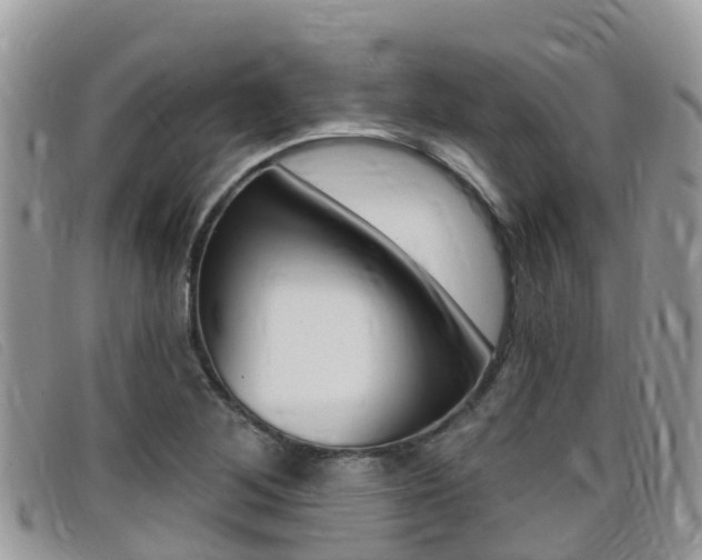 X0000099441268200805090740