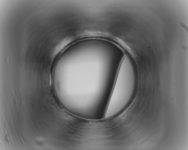 X0000099441269200805090740