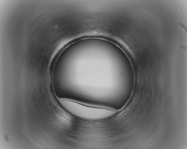 X0000099441270200805090740