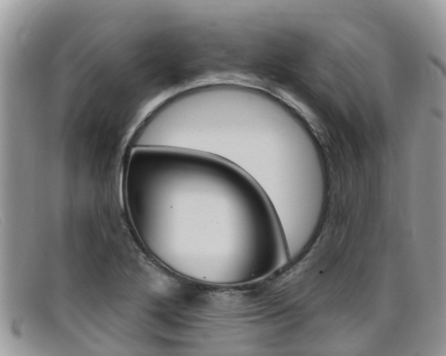 X0000099441272200805090740