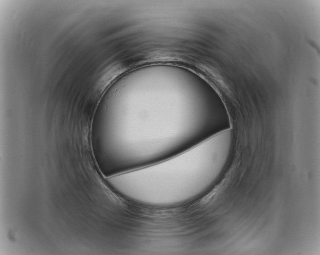 X0000099441273200805090740