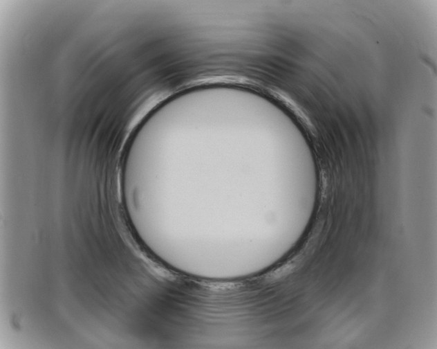 X0000099441274200805090740
