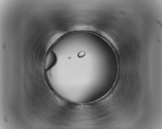 X0000099441277200805090740