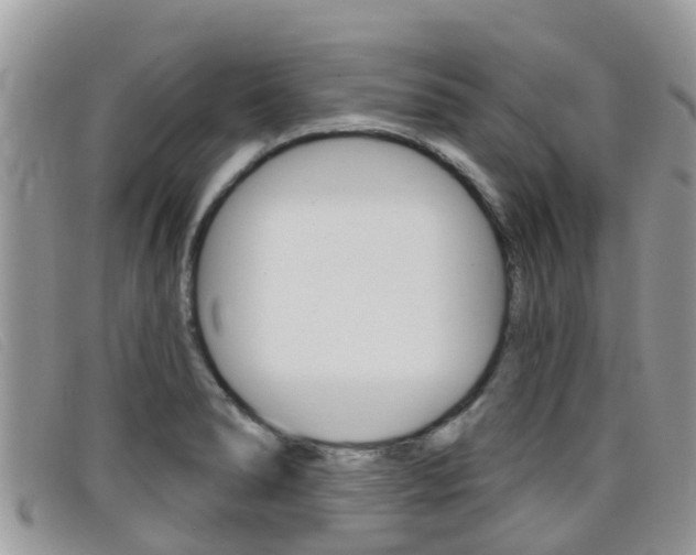 X0000099441278200805090740