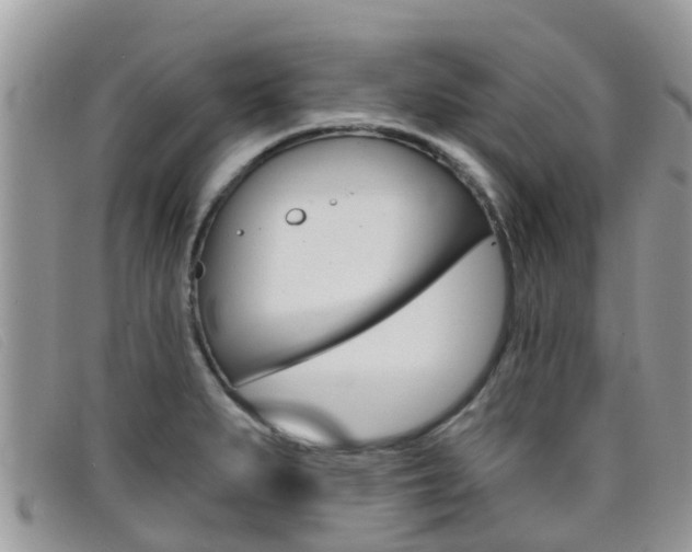 X0000099441279200805090740