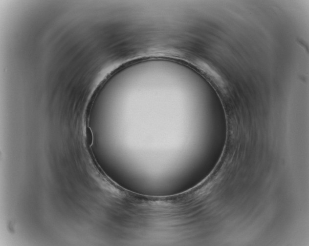 X0000099441280200805090740
