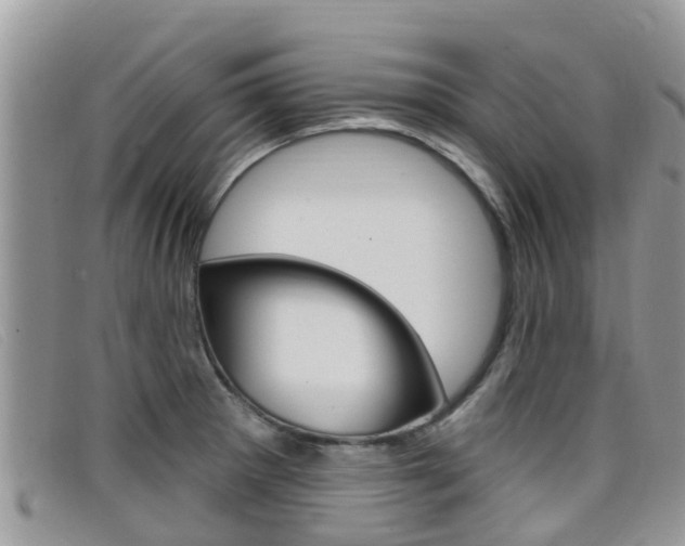 X0000099441281200805090740