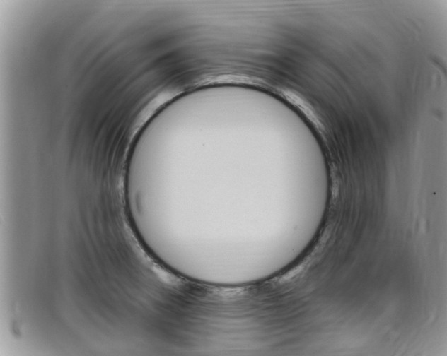 X0000099441282200805090740