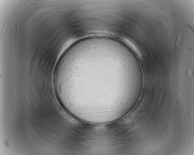 X0000099441283200805090740