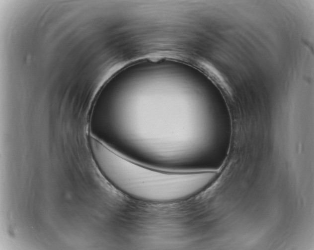 X0000099441284200805090740
