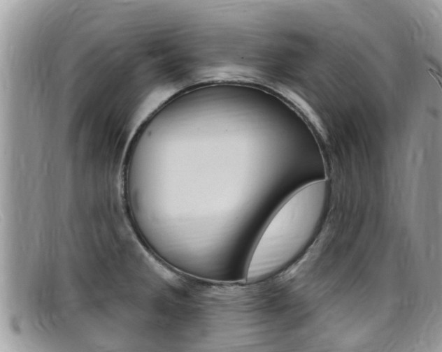 X0000099441285200805090740