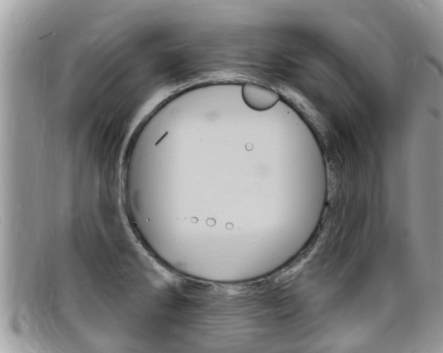 X0000099441286200805090740