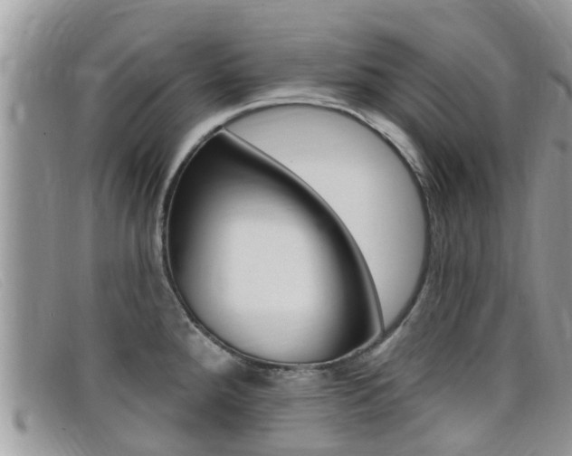 X0000099441288200805090740