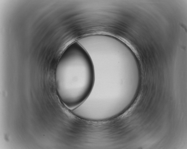 X0000099441289200805090740