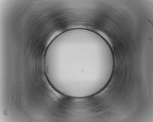 X0000099441290200805090740
