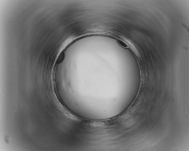 X0000099441291200805090740