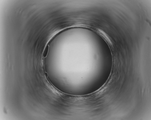 X0000099441292200805090740