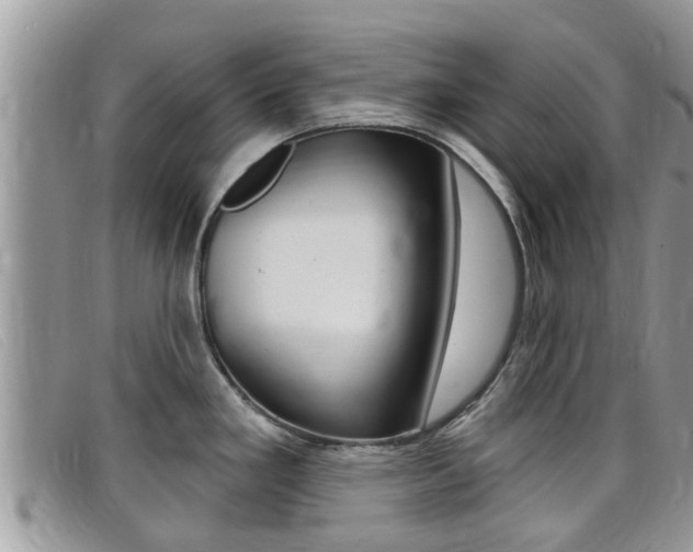 X0000099441293200805090740