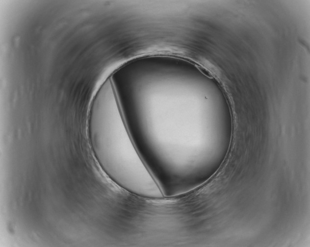 X0000099441296200805090740