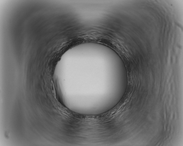 X0000099441297200805090739