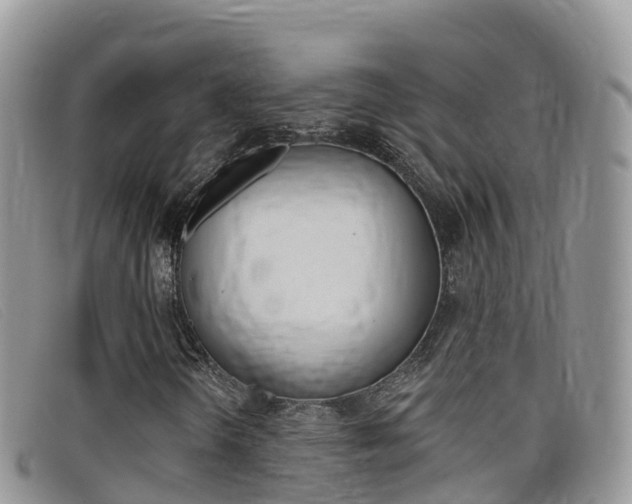 X0000099441298200805090739