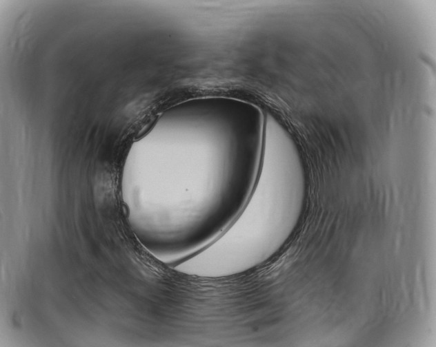 X0000099441300200805090739