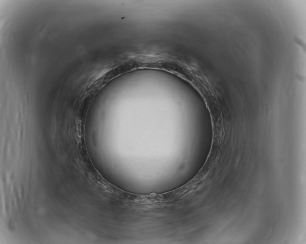 X0000099441301200805090739