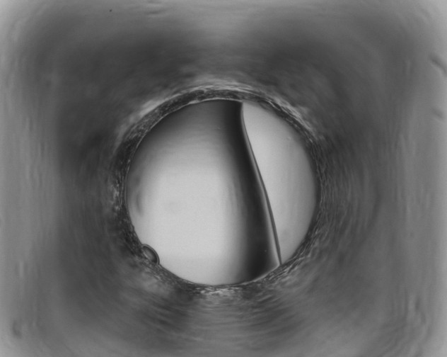 X0000099441303200805090739