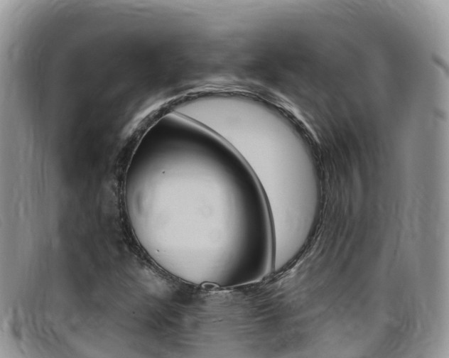 X0000099441304200805090739