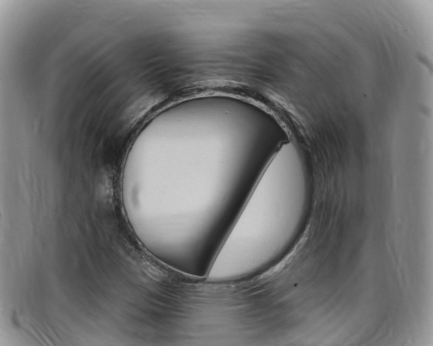 X0000099441305200805090739
