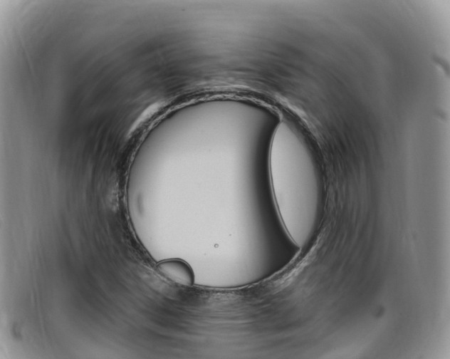 X0000099441306200805090739