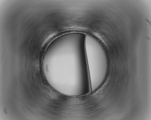 X0000099441307200805090739