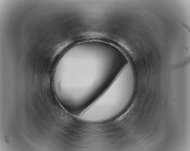 X0000099441309200805090739