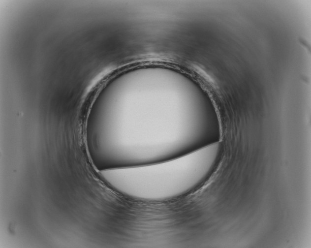 X0000099441310200805090739