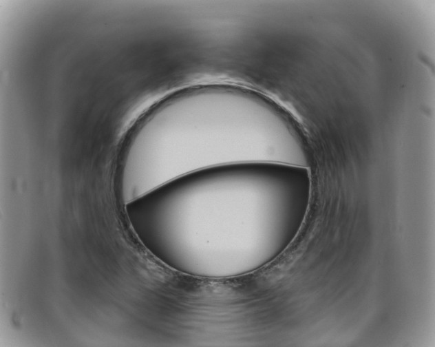 X0000099441311200805090739