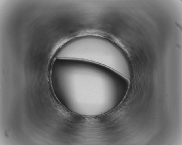 X0000099441312200805090739