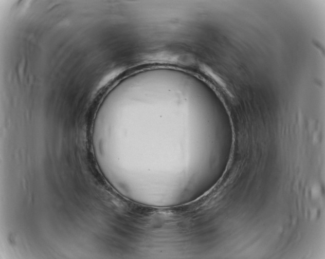 X0000099441315200805090739