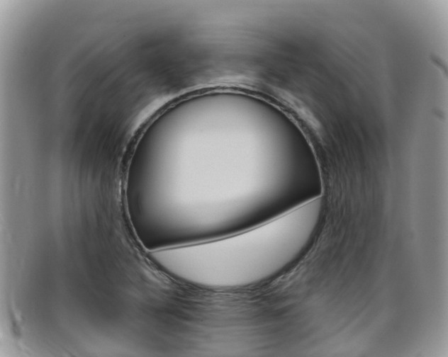 X0000099441316200805090739